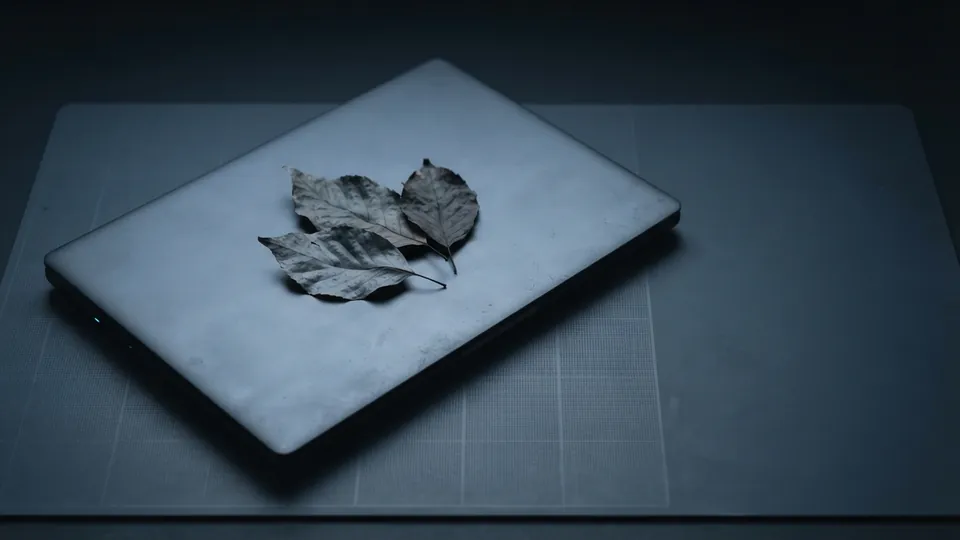 Closed laptop with three dry autumn leaves resting on its lid, the leaves faded to slate grey